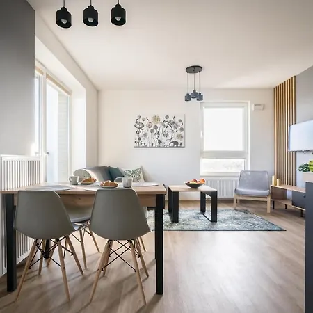 Bizapartments - Modern Flats With Parking *